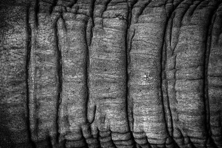 Laura Jimenez Sanz_Topografía Salvaje i_Fotografía sobre papel alfa profesional DPII