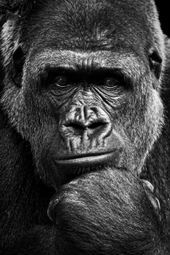 Laura Jimenez Sanz_El peso de la mirada_fotografía